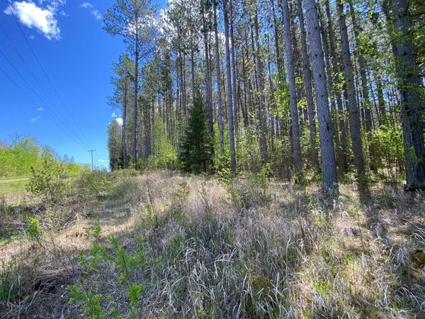 XXXX Minkkinen Rd, Kettle River, MN 55757