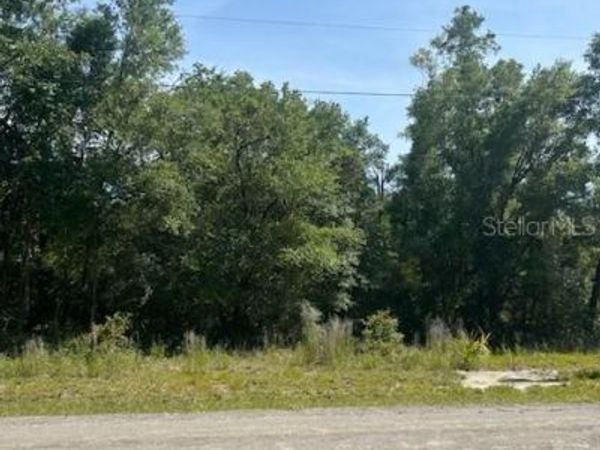 8284 W CATRINA LANE, CRYSTAL RIVER, FL 34428