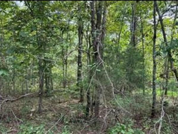 406 Wahoo Drive, Crossville, TN 38572