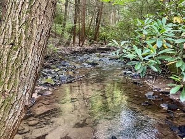 6 BEECH CREEK MOUNTAIN ROAD, BEECH CREEK, PA 16822