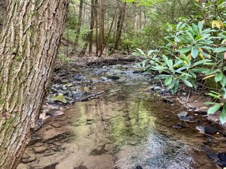 6 Beech Creek Mountain Road, Beech Creek, PA 16822 Main Photo