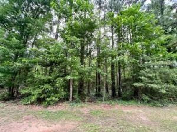 TBD Jewell McKellar Rd, Sugartown, LA 70662