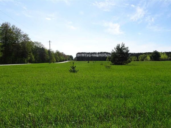 TBD Twin Lake RD, Kalkaska, MI 49646