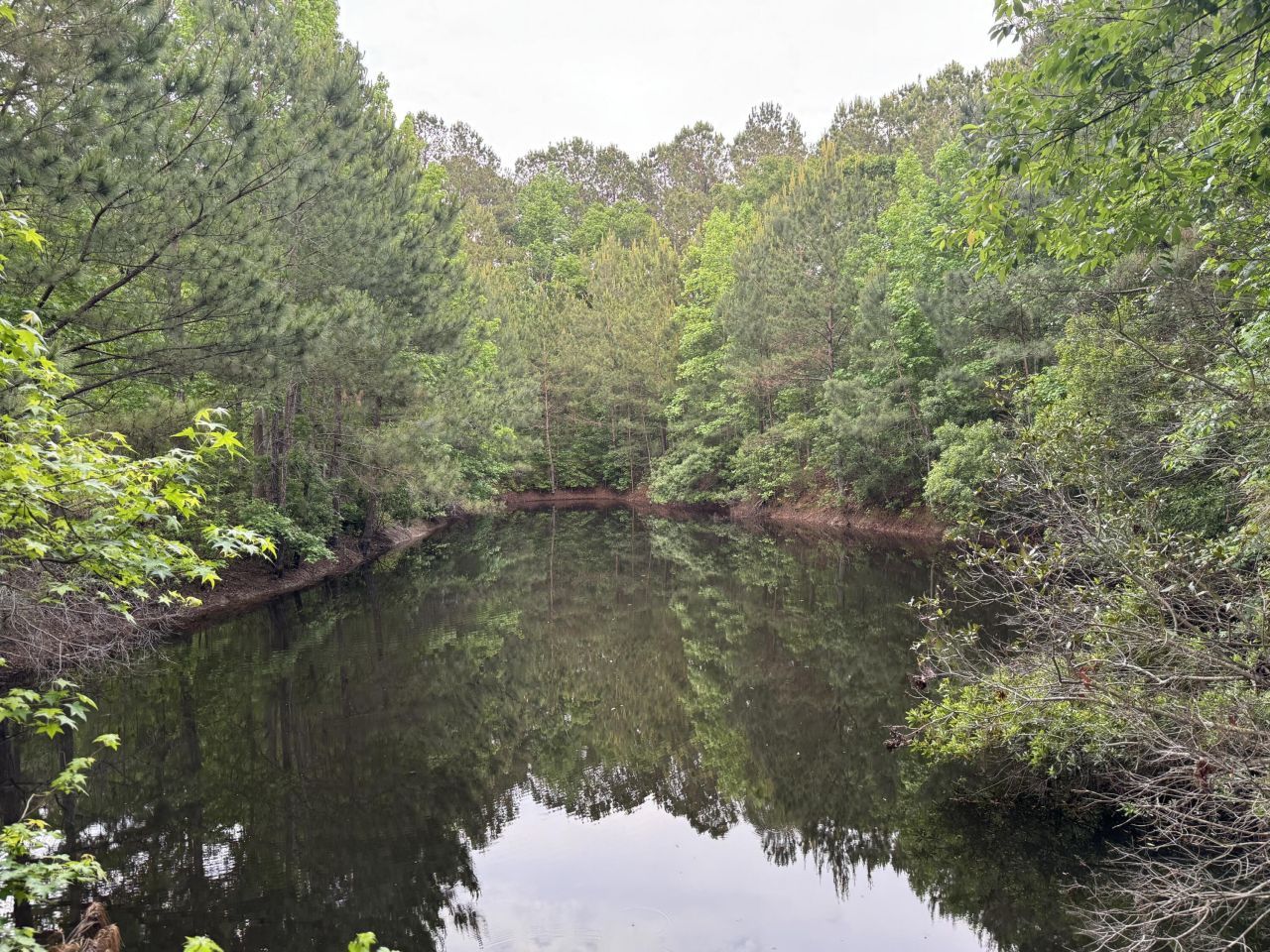 351 Duncan Chapel Road Photo 10