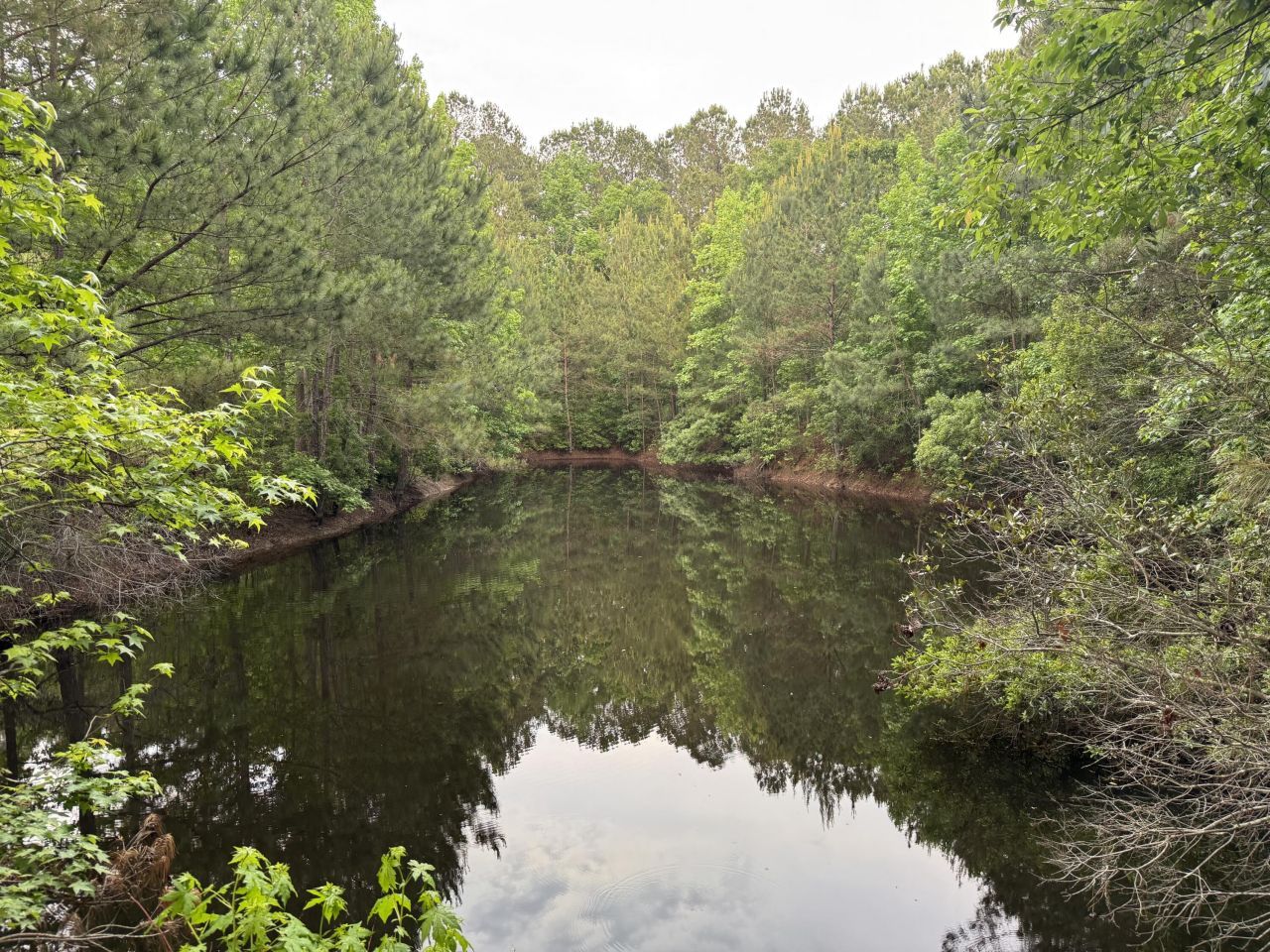 351 Duncan Chapel Road Photo 76