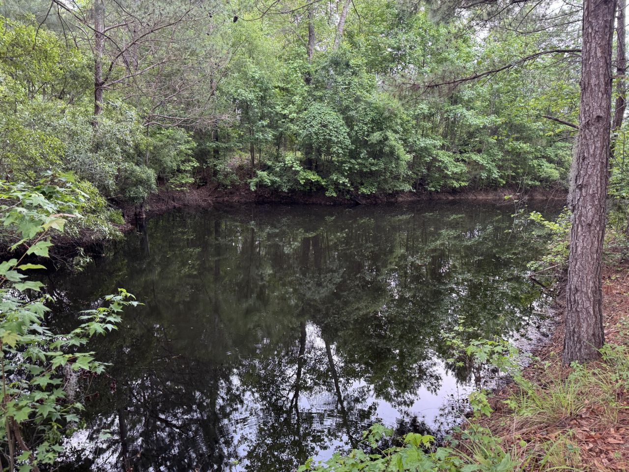 351 Duncan Chapel Road Photo 77