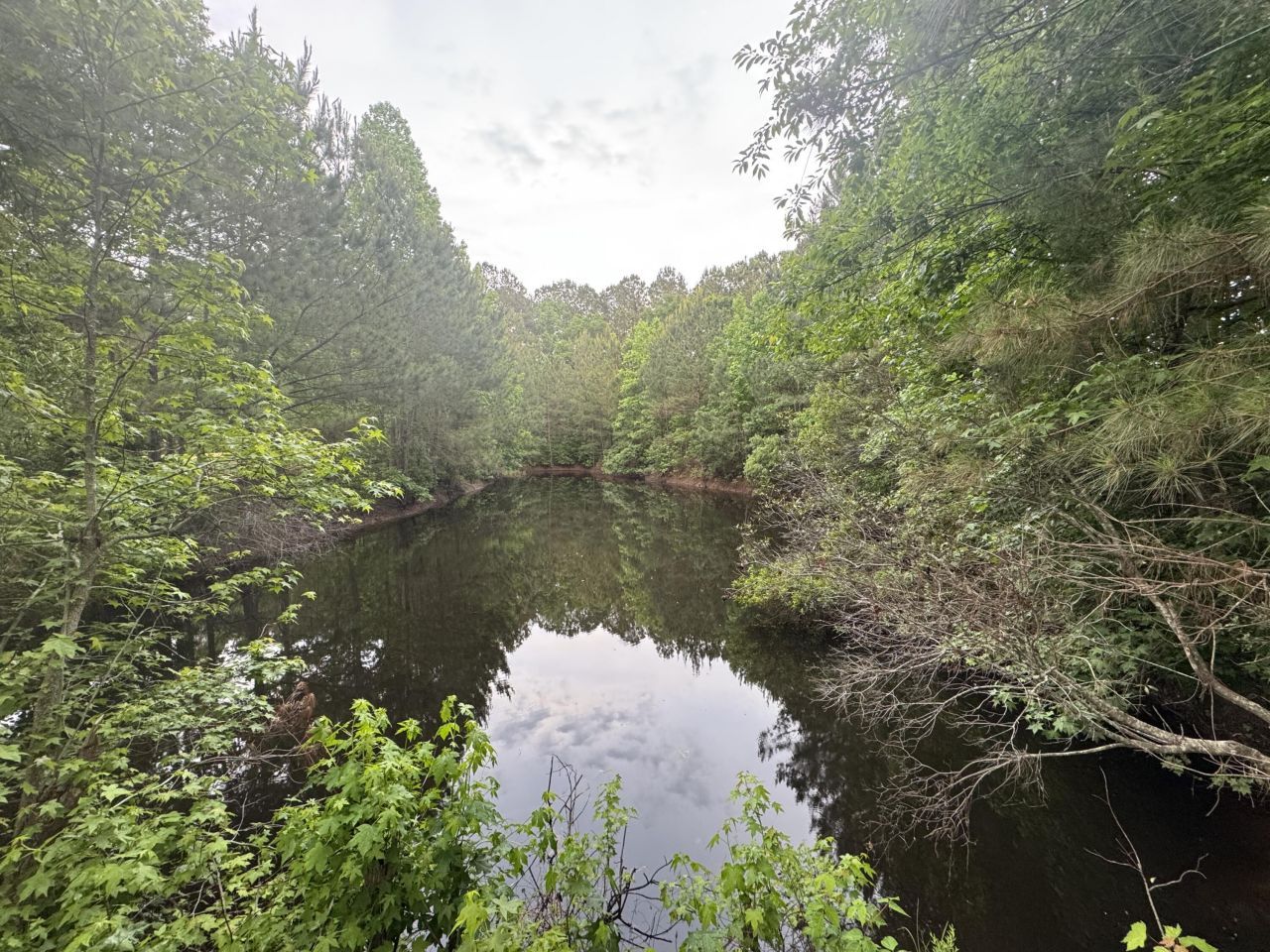 351 Duncan Chapel Road Photo 80