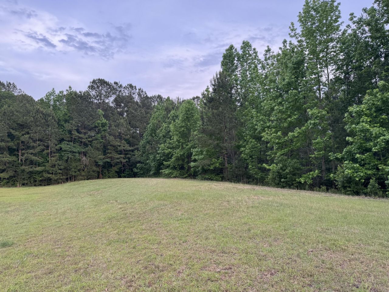 351 Duncan Chapel Road Photo 81