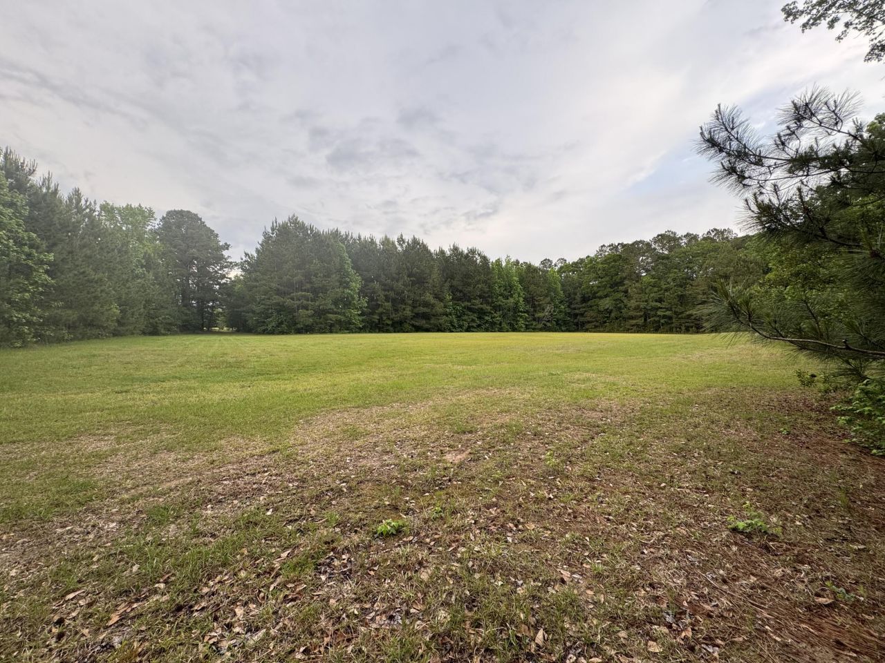 351 Duncan Chapel Road Photo 82