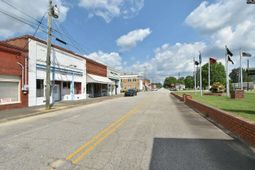 7306 Festival Trail Road photo 4