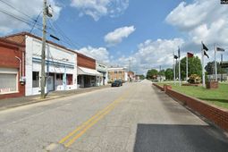 7306 Festival Trail Road photo 4