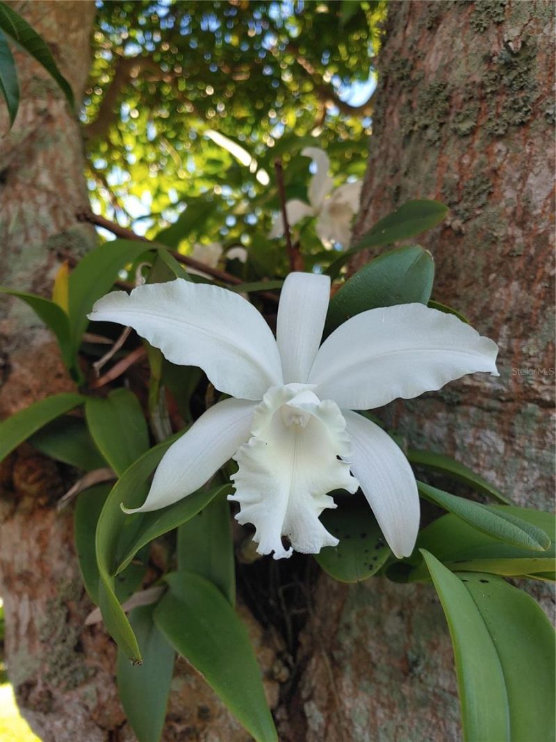 834 Springwood Circle, Bradenton, FL 34212 Photo