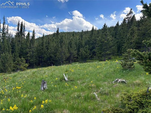 Hilltop Road, Idaho Springs, CO 80452
