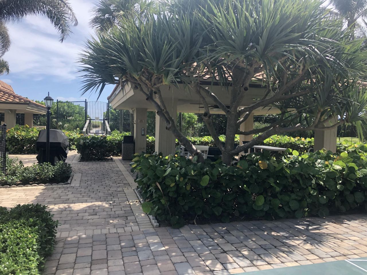 3400 N Ocean Drive, Unit 905, Riviera Beach, FL 33404 Photo