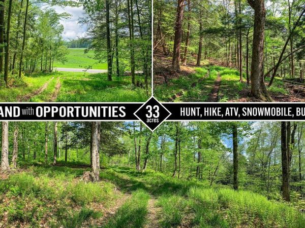 0 County Highway 44, Sidney, NY 13849