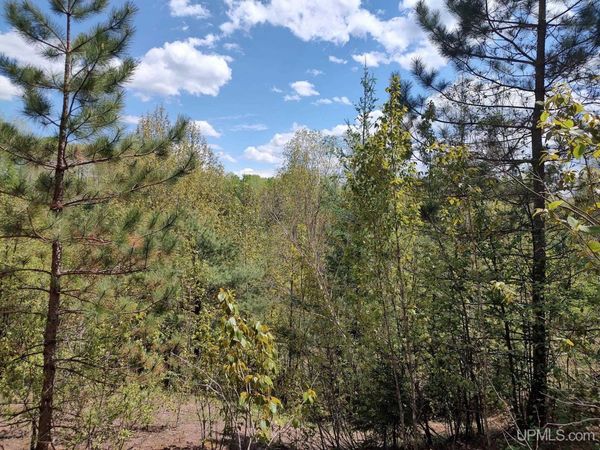 TBD Dunham Road, Marenisco Twp, MI 49947