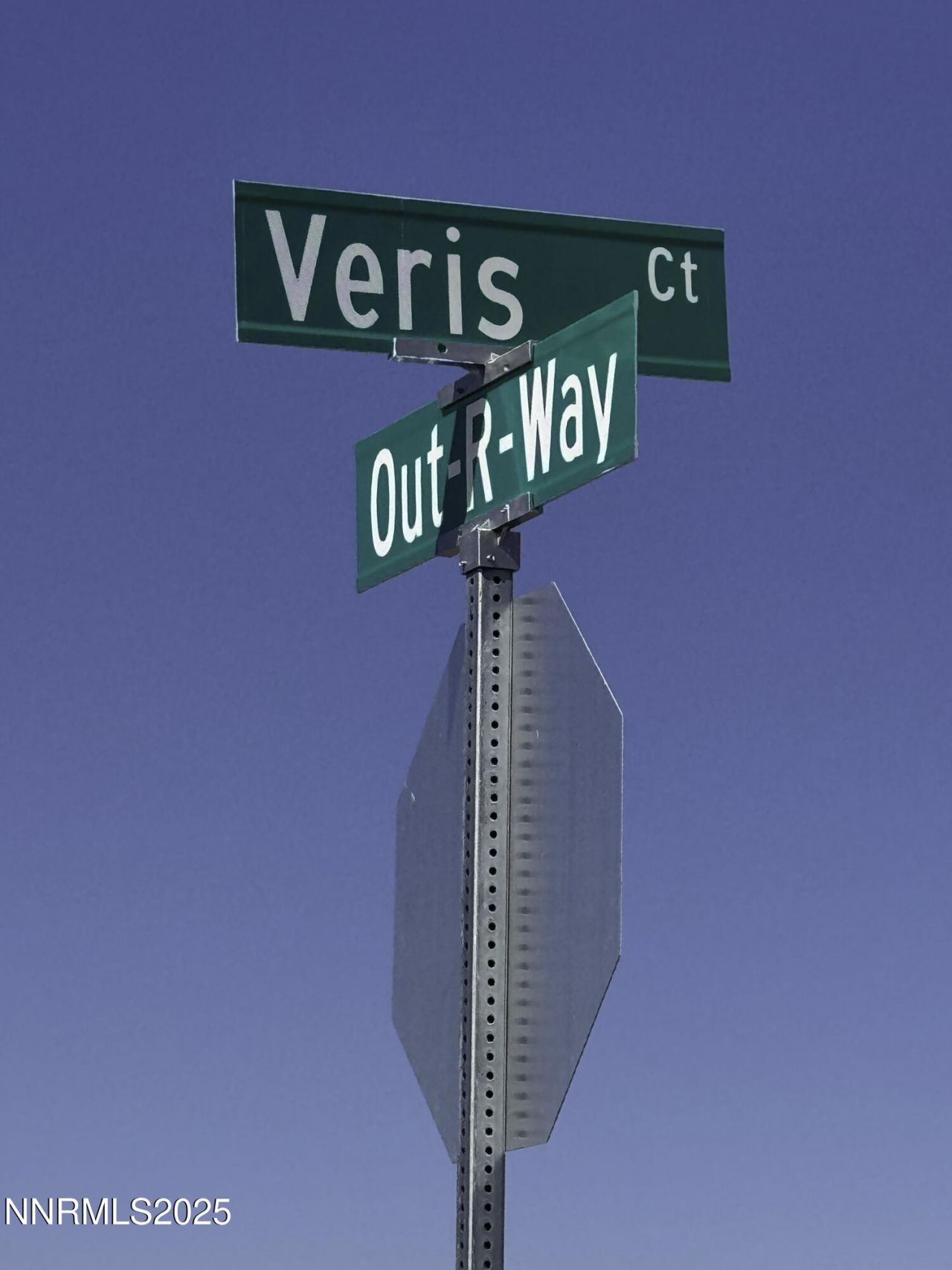 330 Veris Court, Lot #1, Gardnerville, NV 89410 Photo