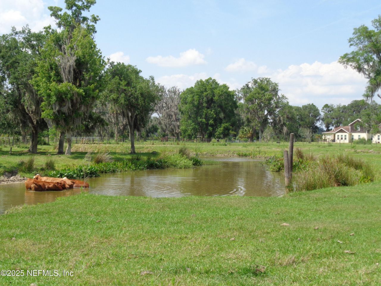 Tbd Barrel Factory Road, Hastings, FL 32145 Photo