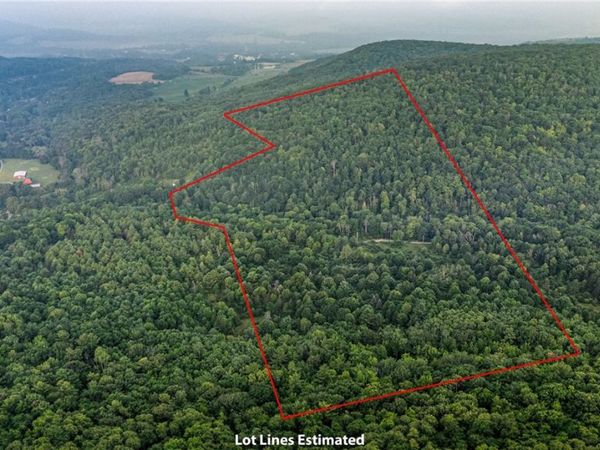 0 Ruttin Rd Road, Scio, NY 14880