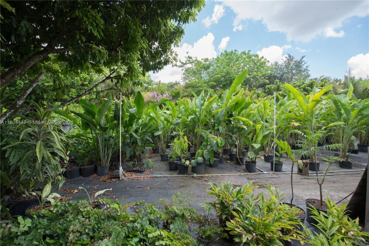 16970 SW 264th St, Homestead, FL 33031 Photo