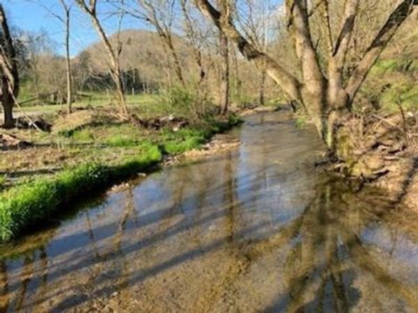 662 Wilmore Hollow Rd, Pleasant Shade, TN 37145