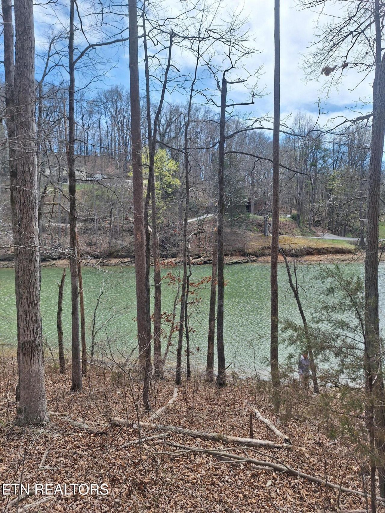 13136 George Lovelace Lane, Knoxville, TN 37932 Main Photo