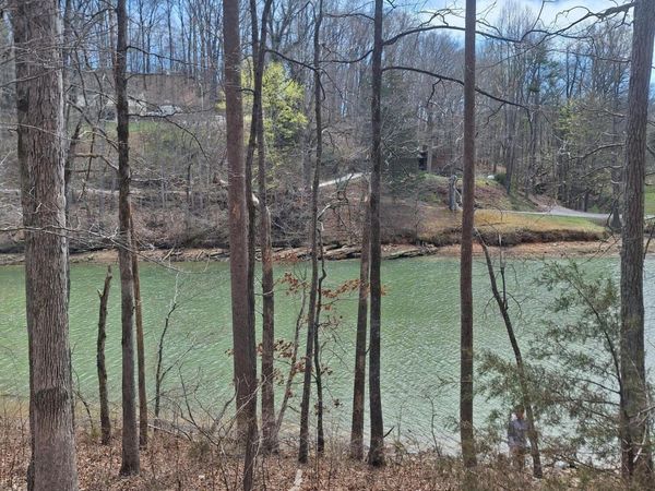 13136 George Lovelace Lane, Knoxville, TN 37932