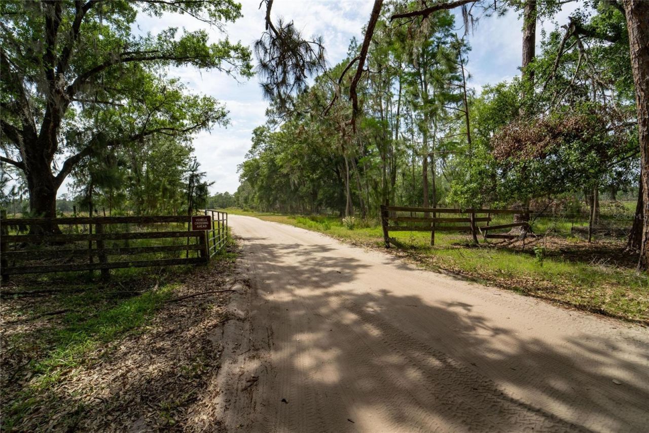 Van Fleet Road, Polk City, FL 33868 Photo