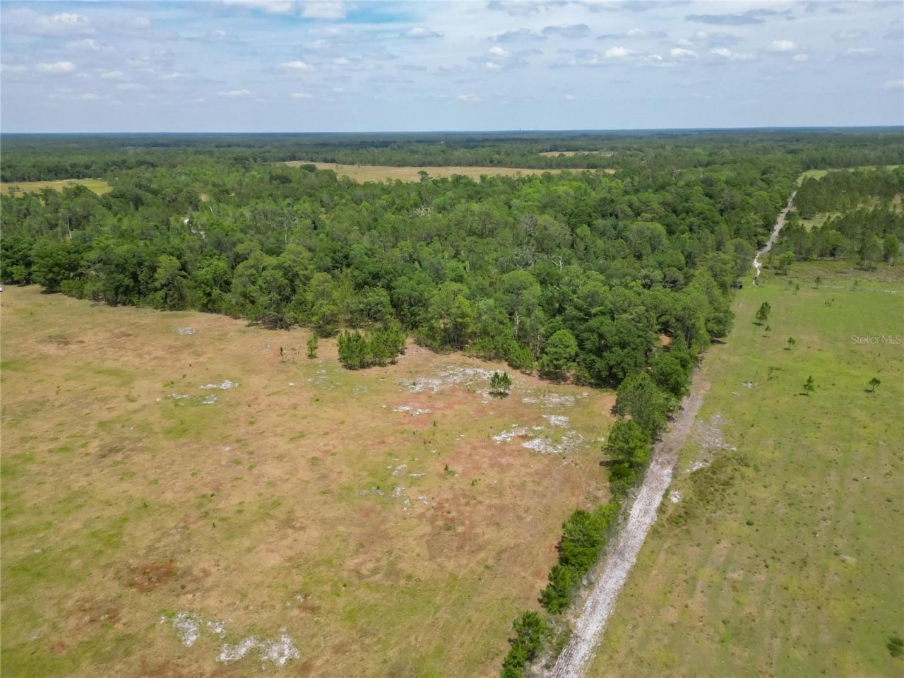 Van Fleet Road, Polk City, FL 33868 Photo