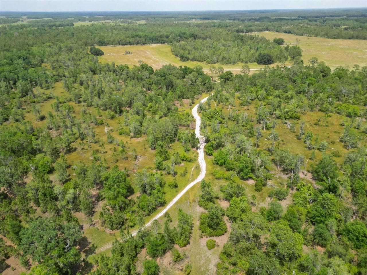 Van Fleet Road, Polk City, FL 33868 Photo