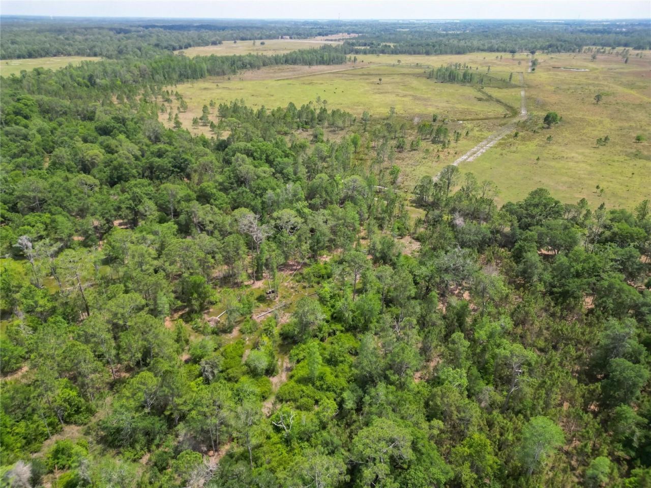 Van Fleet Road, Polk City, FL 33868 Photo