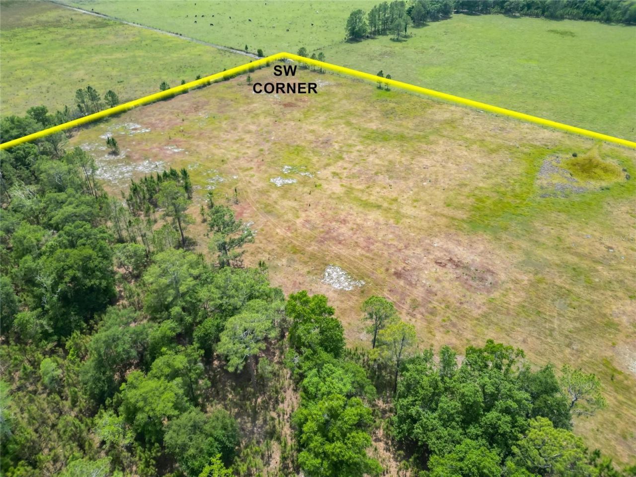 Van Fleet Road, Polk City, FL 33868 Photo