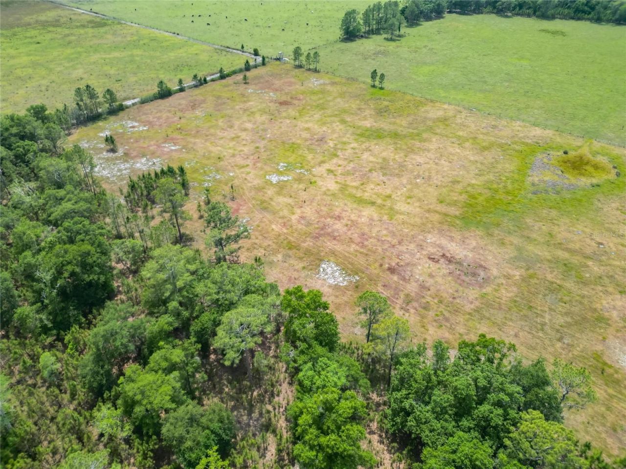 Van Fleet Road, Polk City, FL 33868 Photo