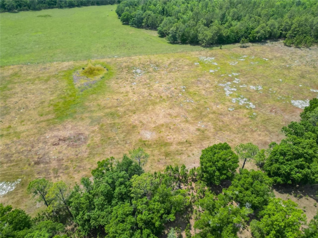 Van Fleet Road, Polk City, FL 33868 Photo