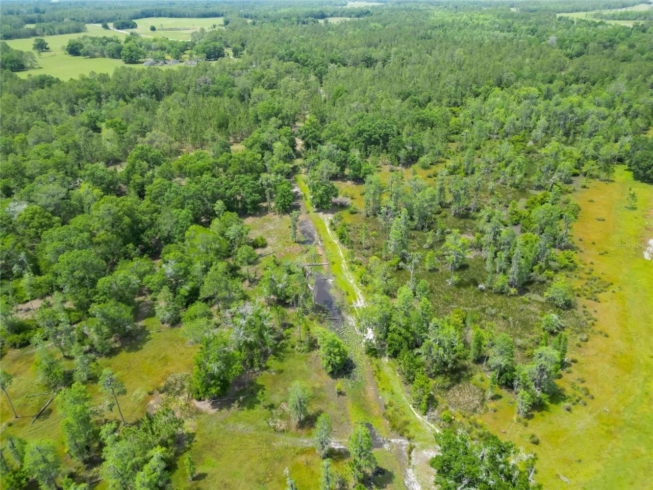 Van Fleet Road, Polk City, FL 33868 Photo