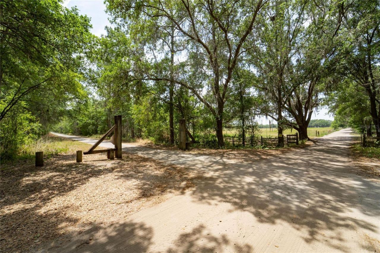 Van Fleet Road, Polk City, FL 33868 Photo