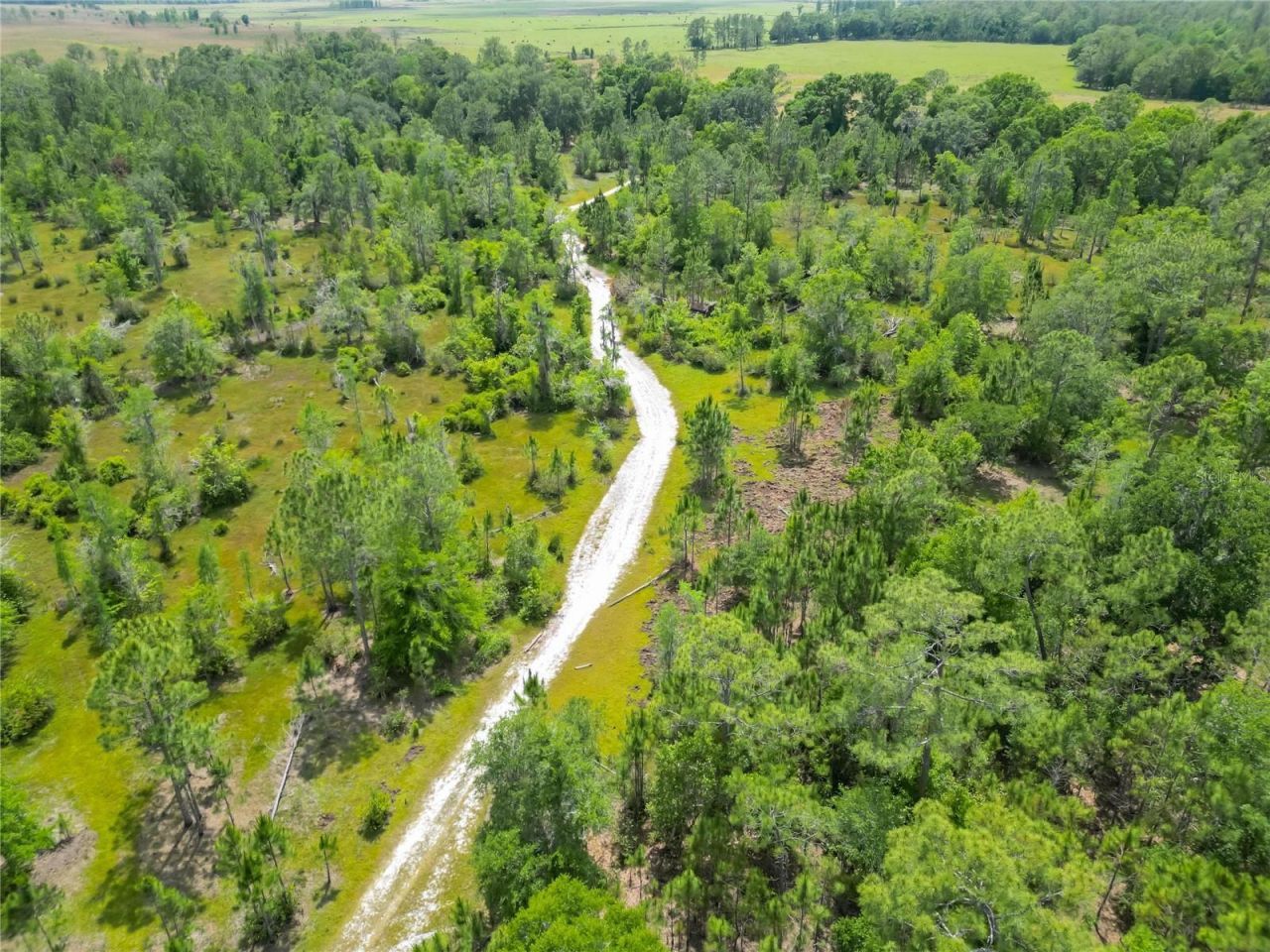 Van Fleet Road, Polk City, FL 33868 Photo