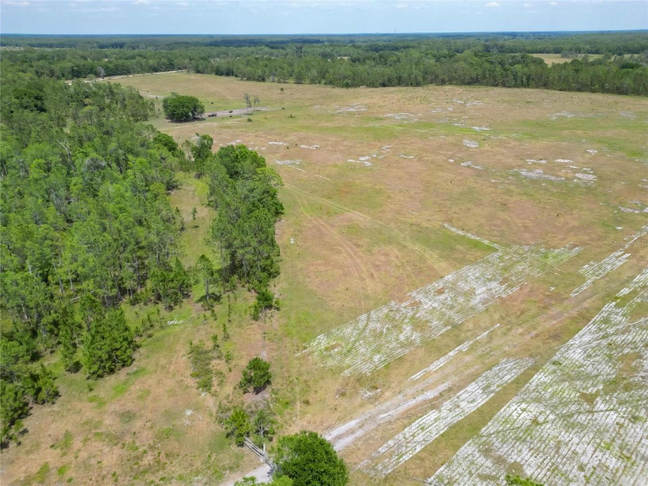 Van Fleet Road, Polk City, FL 33868 Photo