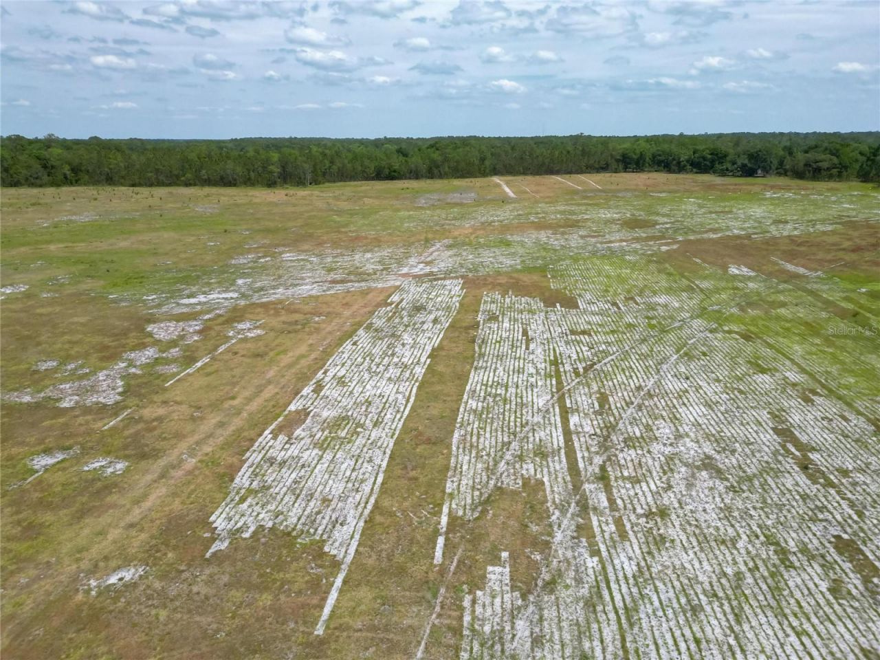 Van Fleet Road, Polk City, FL 33868 Photo