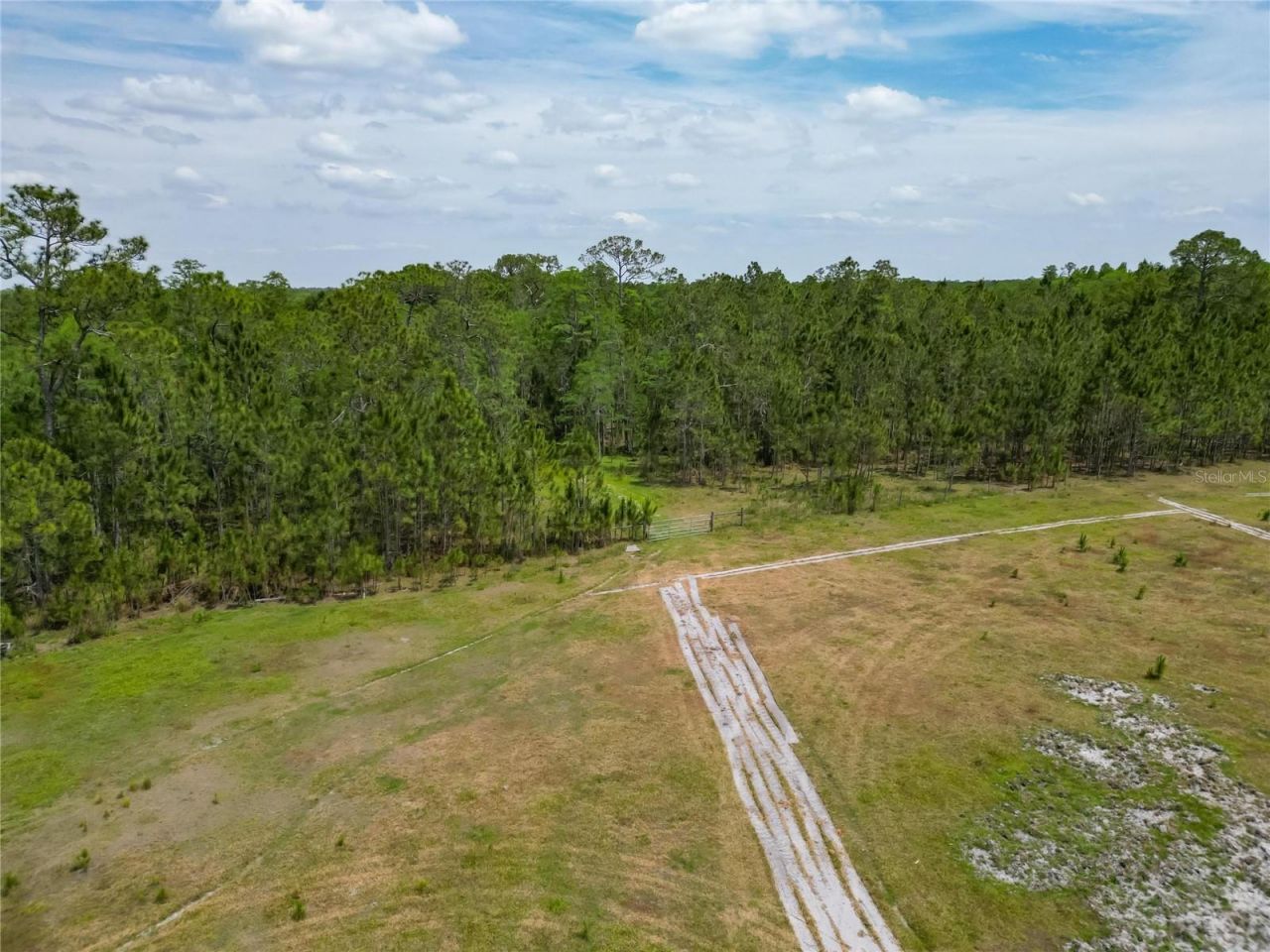 Van Fleet Road, Polk City, FL 33868 Photo