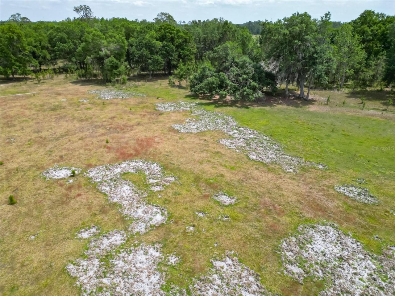 Van Fleet Road, Polk City, FL 33868 Photo