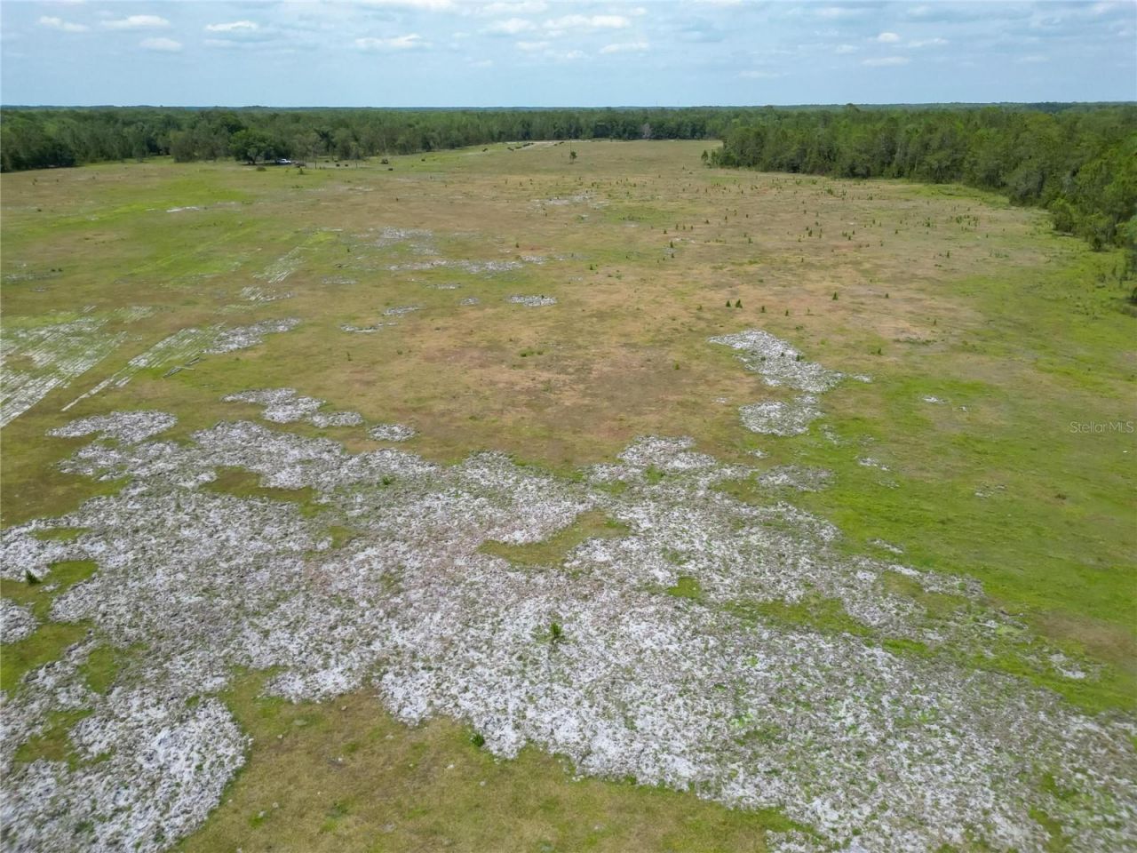 Van Fleet Road, Polk City, FL 33868 Photo