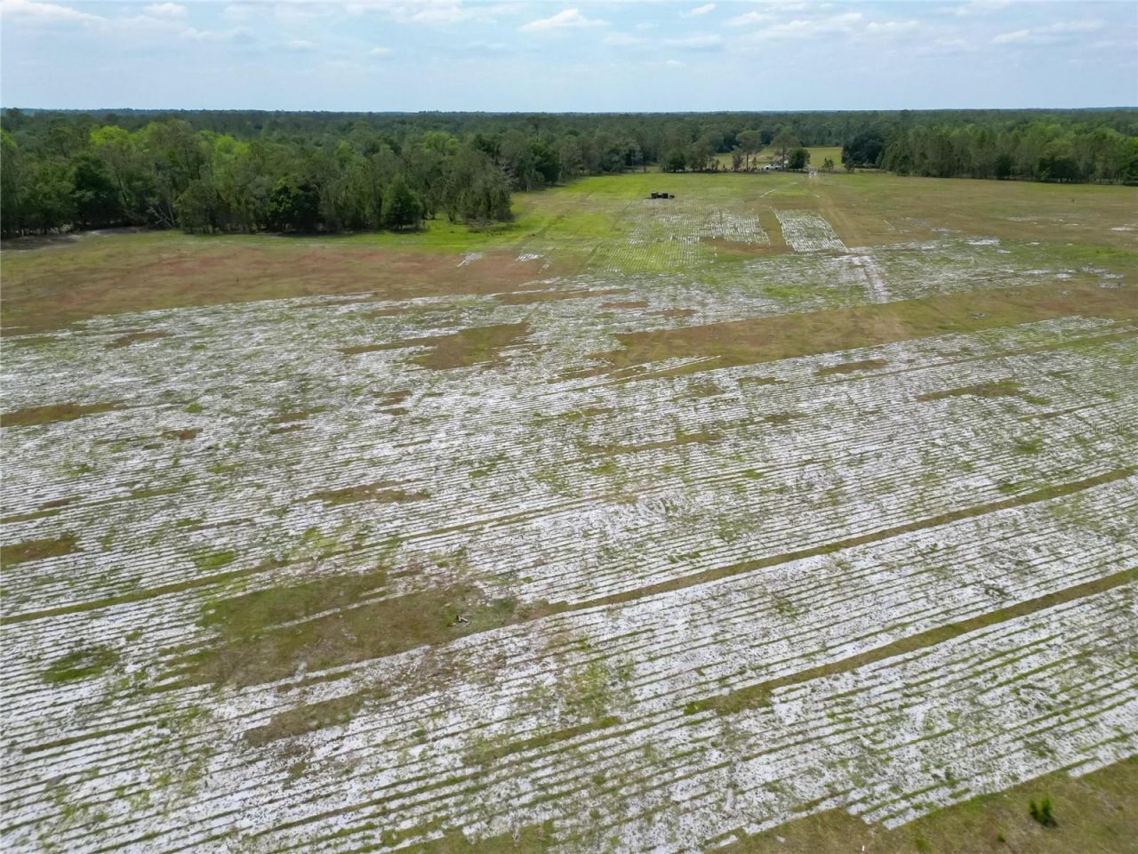 Van Fleet Road, Polk City, FL 33868 Photo