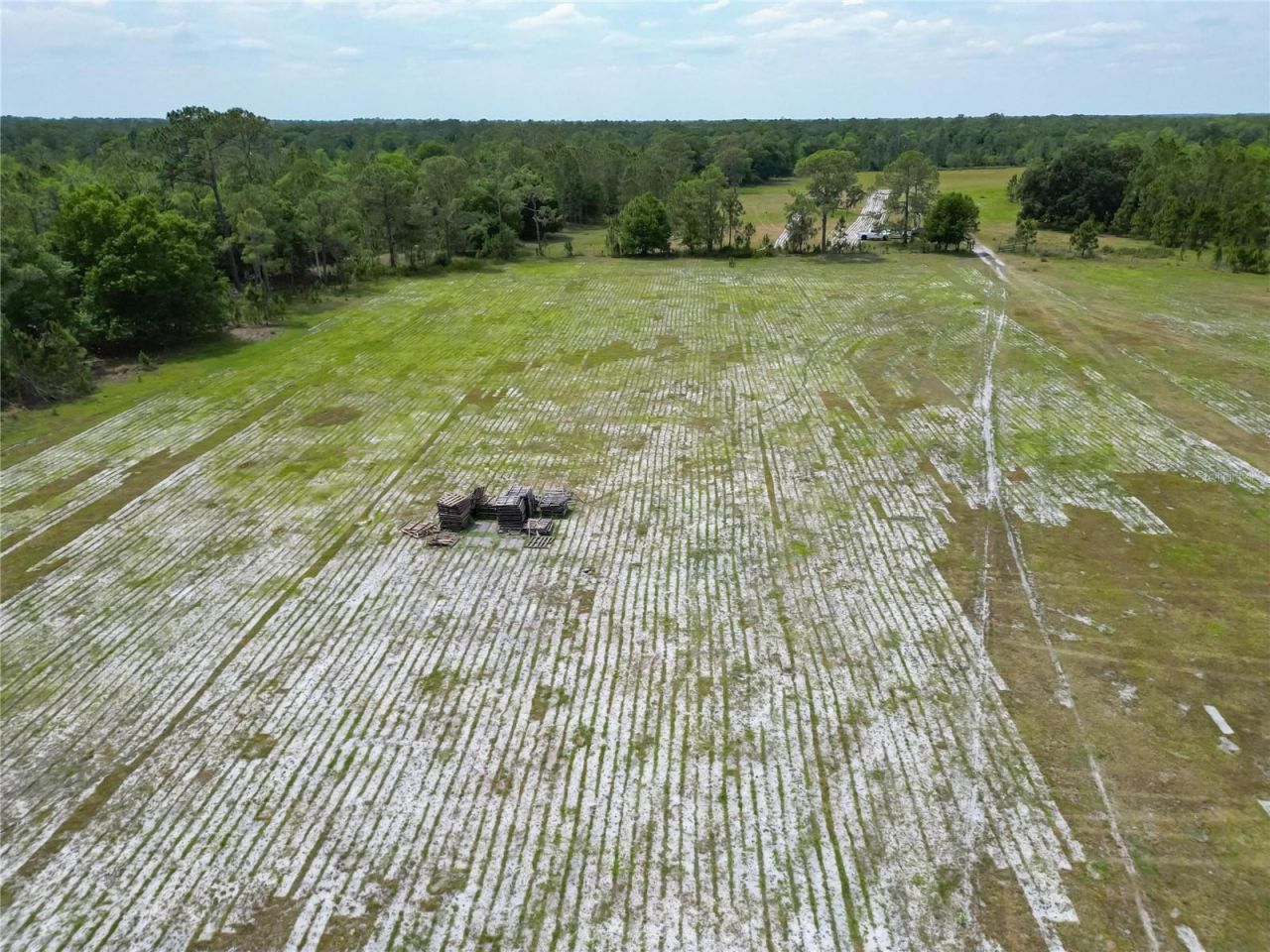 Van Fleet Road, Polk City, FL 33868 Photo