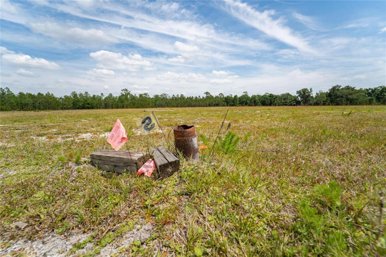 Van Fleet Road, Polk City, FL 33868 Photo