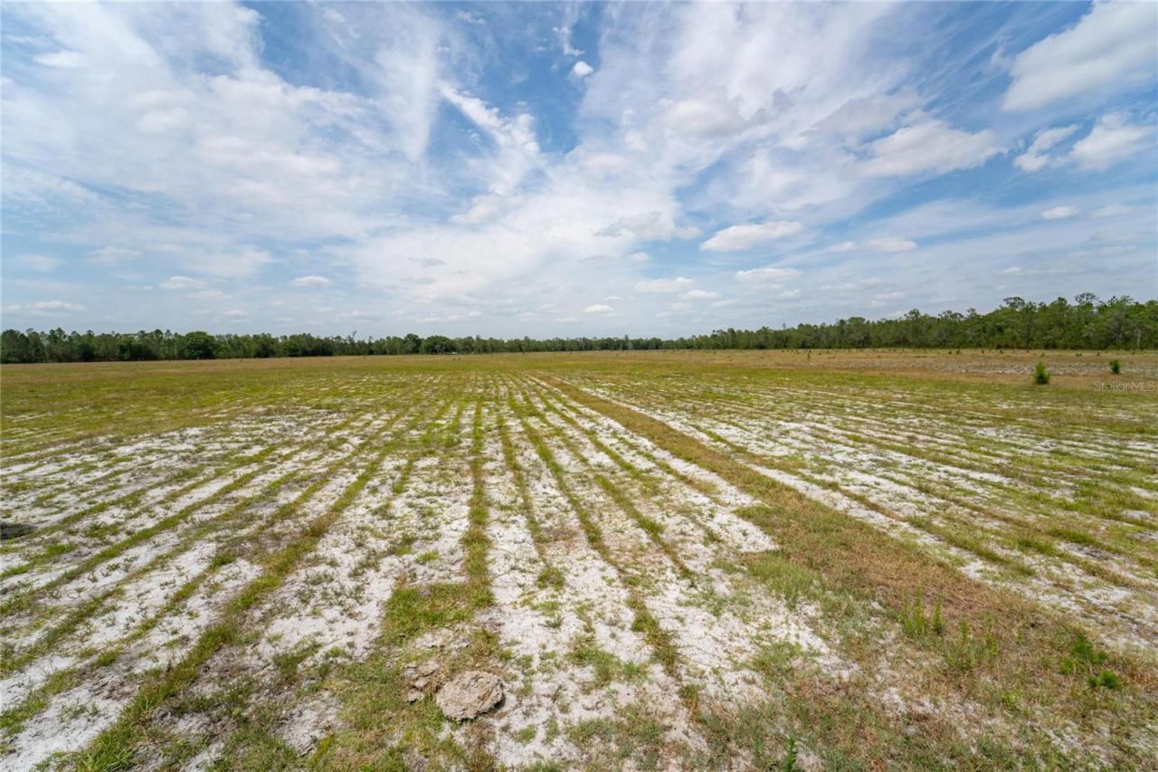 Van Fleet Road, Polk City, FL 33868 Photo