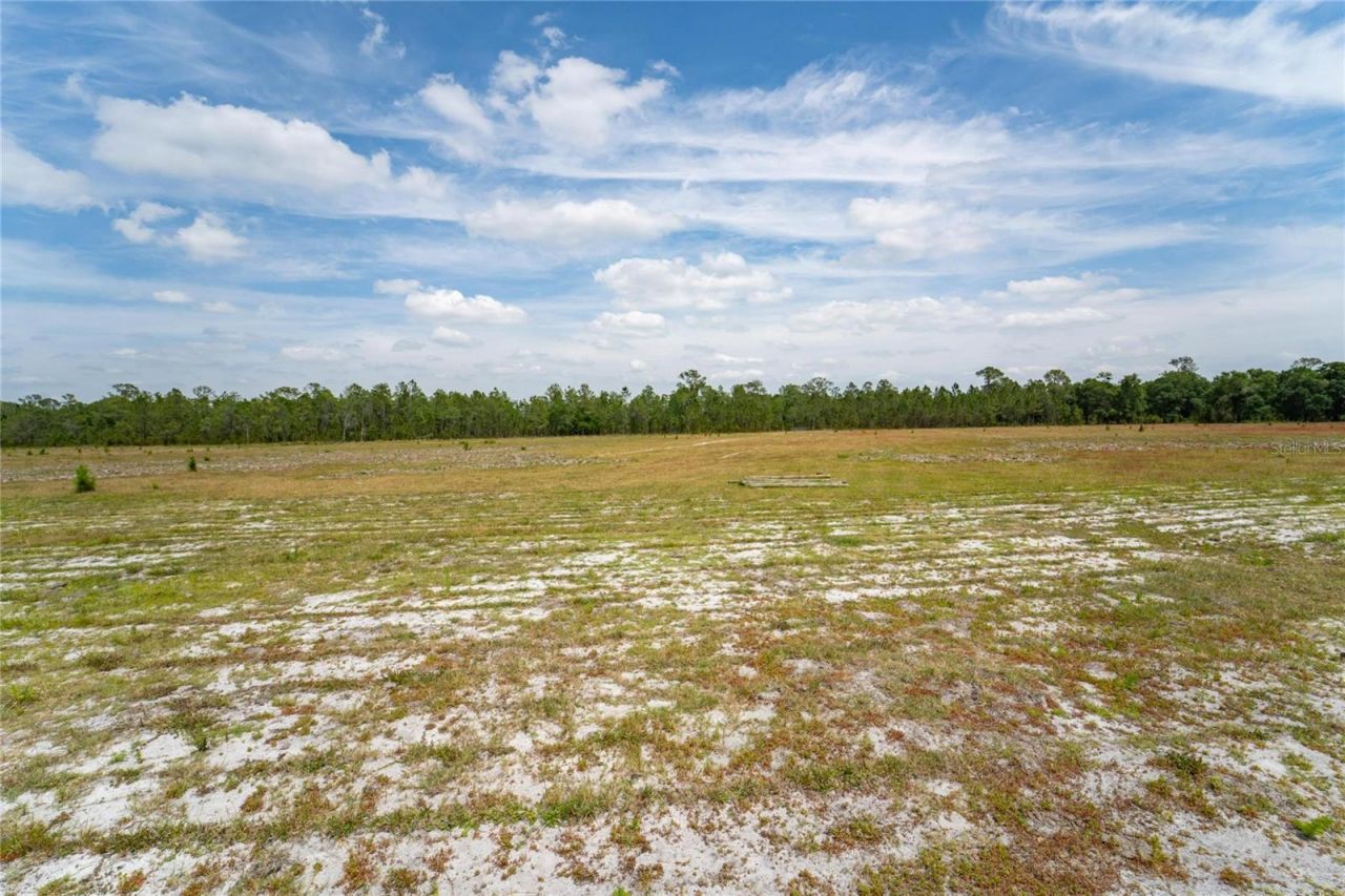 Van Fleet Road, Polk City, FL 33868 Photo