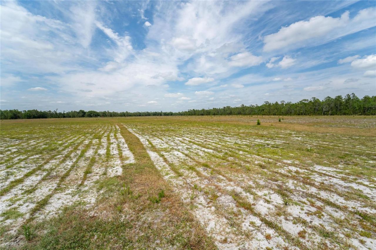 Van Fleet Road, Polk City, FL 33868 Photo