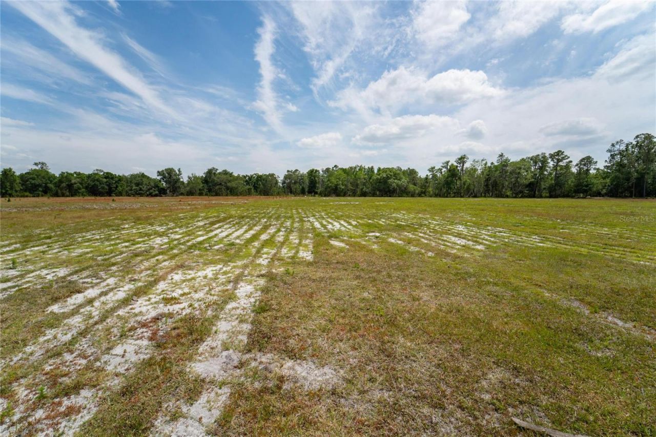 Van Fleet Road, Polk City, FL 33868 Photo