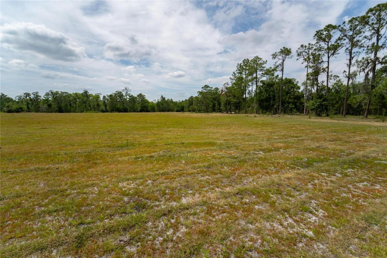 Van Fleet Road, Polk City, FL 33868 Photo